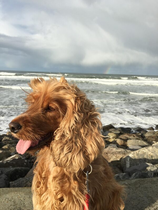 Kellie at the seaside with the salt wind in her hair