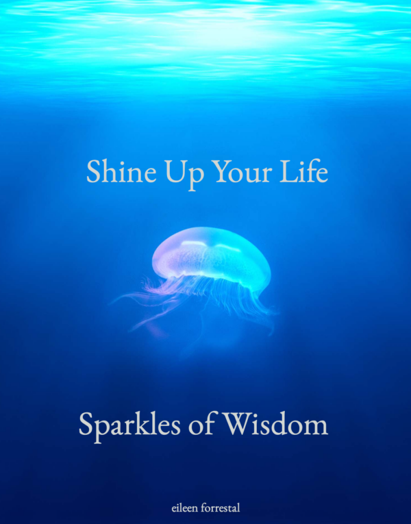 Sparkles of Wisdom by Eileen Forrestal — a 42-page digital reflection flipbook. Pause, reflect and reconnect with what matters most.